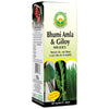 Basic Ayurveda Bhumi Amla & Giloy Mix Juice - 450 ml
