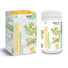 Body first Fenugreek Fibre  Fenugreek Seed Extract