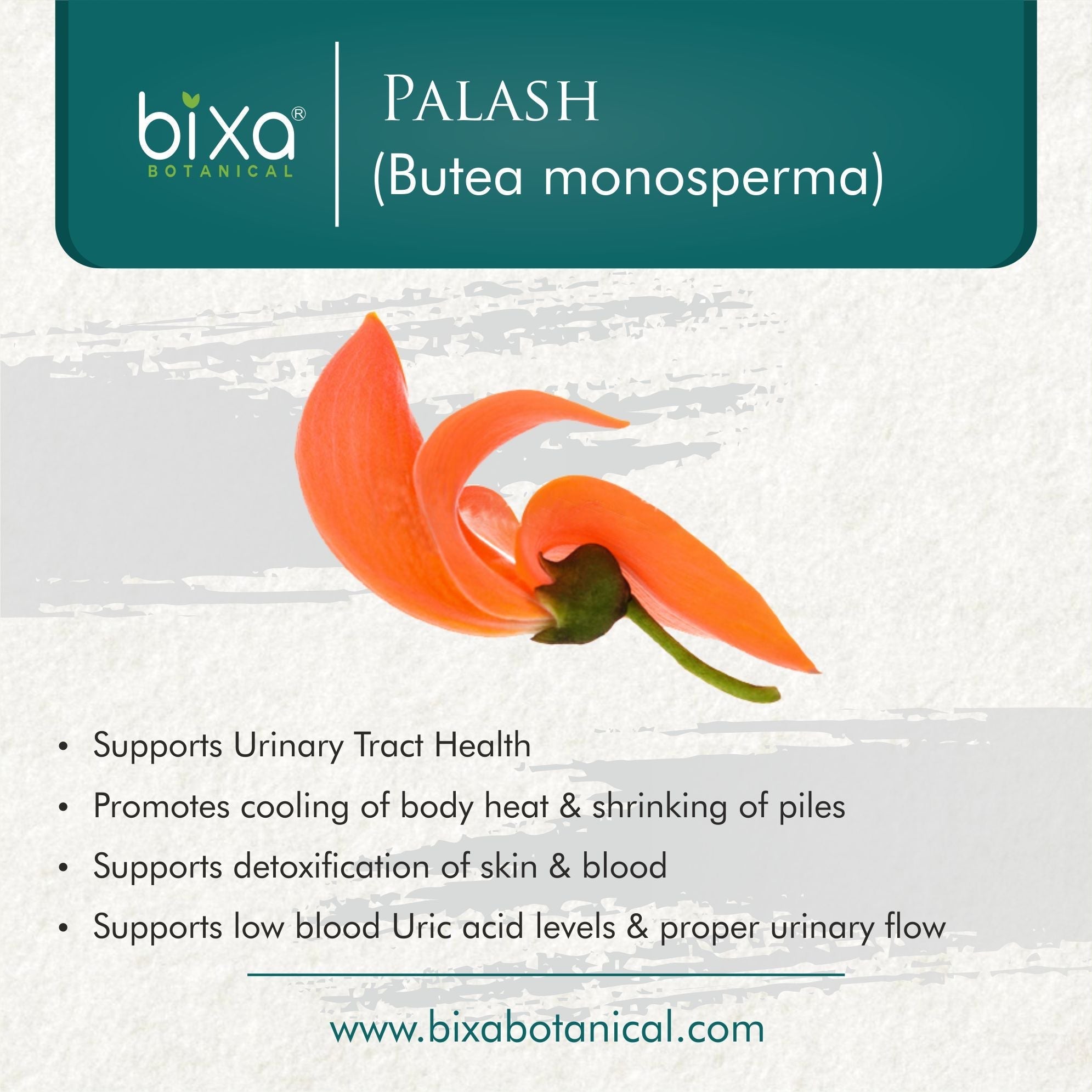 Bixa Botanical Palash Flower Powder  Butea monosperma