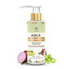 The Natural Wash Amla Shampoo (Anti-Hair Fall Shampoo with Natural Ingredients)