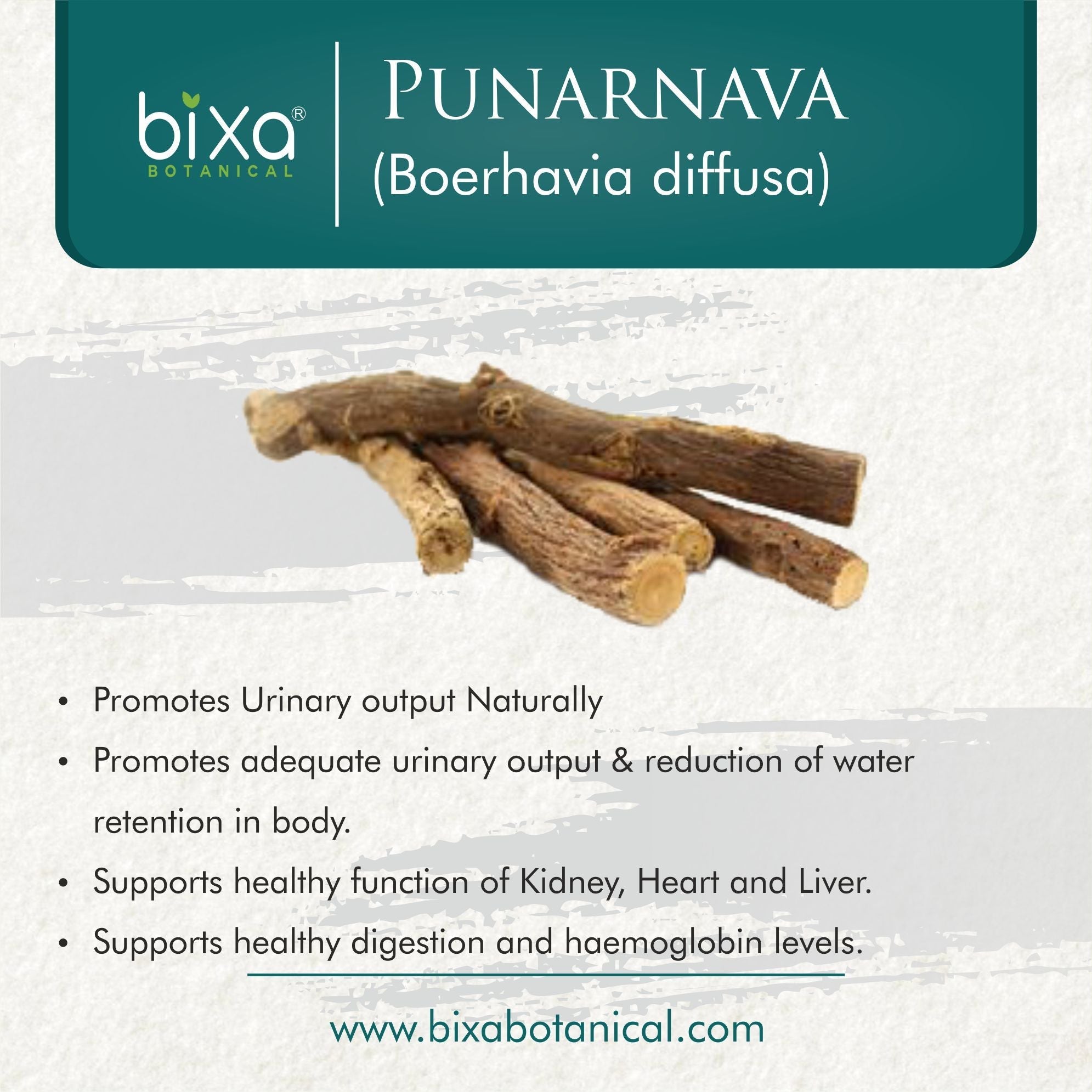 Bixa Botanical Punarnava Root Powder  Boerhavia diffusa