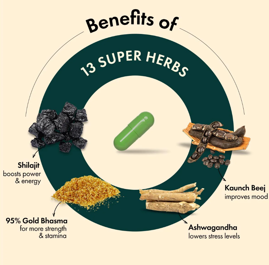 Dr.Vaidya's Shilajit Gold Capsules - 30 Cap