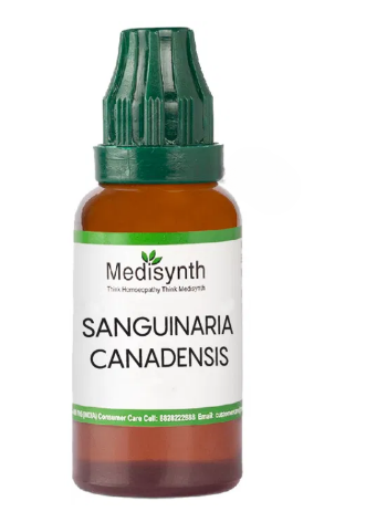 Medisynth Sanguinaria Canadensis Dilution