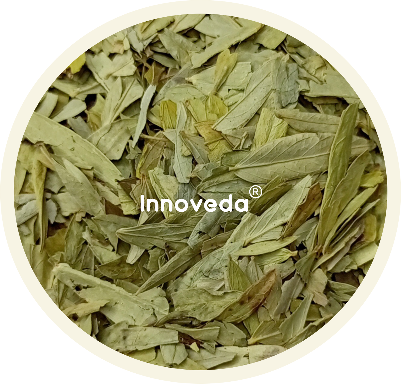 Innoveda Senna Pure Leaves