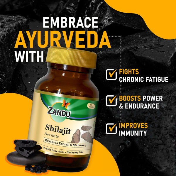 Zandu Shilajit Capsules - 60 Caps