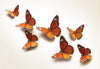 Sky Goodies Paper Monarch Butterflies for Wall Decoration: Set of 24