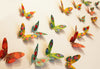 Sky Goodies Paper Butterflies for Wall Decoration: Set of 24