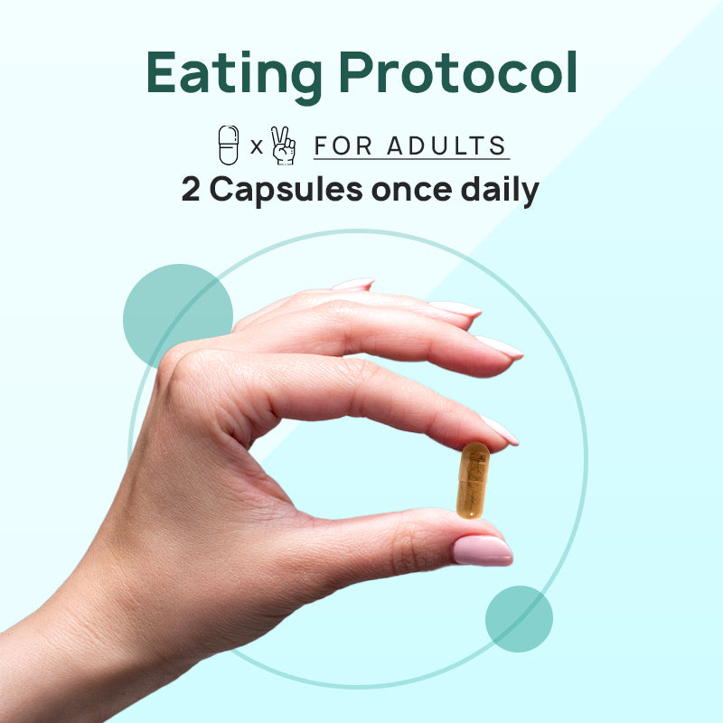 The Co Being Brain Force - 60 Capsules