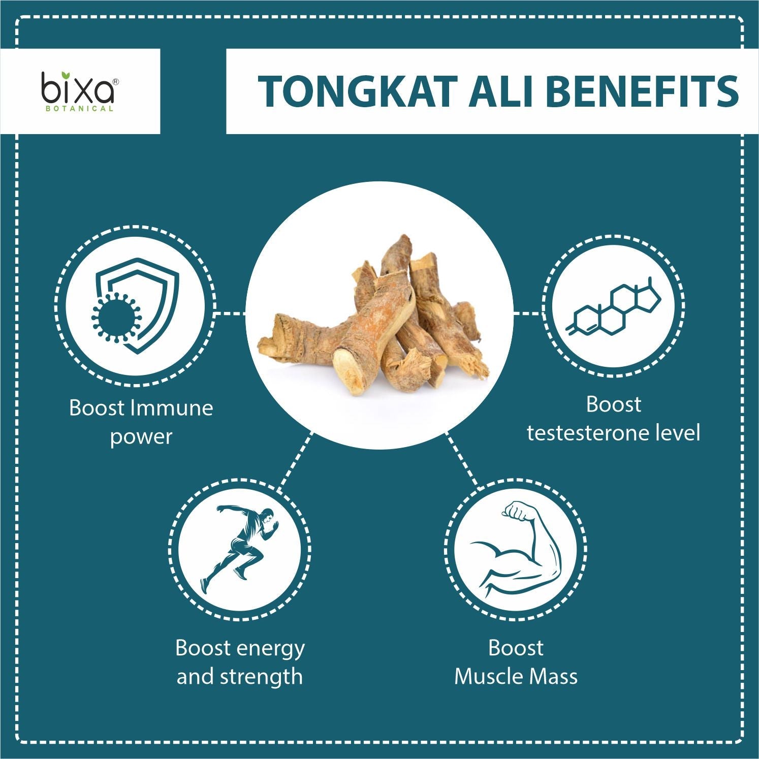 Bixa Botanical Tongkat ali Root Powder  Eurycoma longifolia