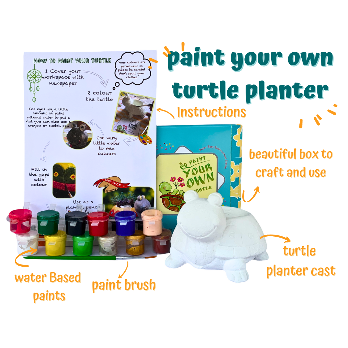 Paint Your Own Planter - Turtle