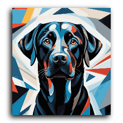 Black Dog