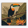 Paint Waint Toucan Bird Sitting on Branch