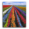 Paint Waint Coloring Flowers Farm