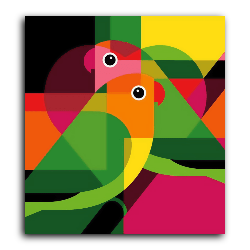 Paint Waint Parrots Coloring Artwork