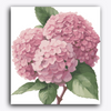 Paint Waint Pink Hydrangea