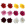 Premium Flower Artificial Flowers Multicolour-12