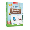 Spartan Kids Insect Flash Cards for Kids