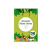 The Curious Bees Animals Flash Cards 36 Laminated Cards for Kids