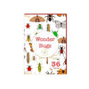 The Curious Bees Wonder Bugs 36 Laminated Anti-Glare Cards