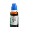 Hering Pharma Boswellia Serrata Mother Tincture Q - 30 ml