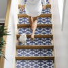 Stepxa Stair Treads Rug