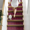 Trexa Stair Treads Rug