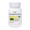 Biotrex Wheatgrass Extract 500mg - 60 tabs