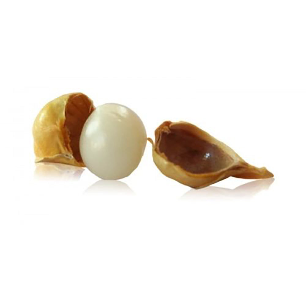 Yuvika Kashmiri Lehsun / Snow Mountain Garlic / Allium sativum -50 grams