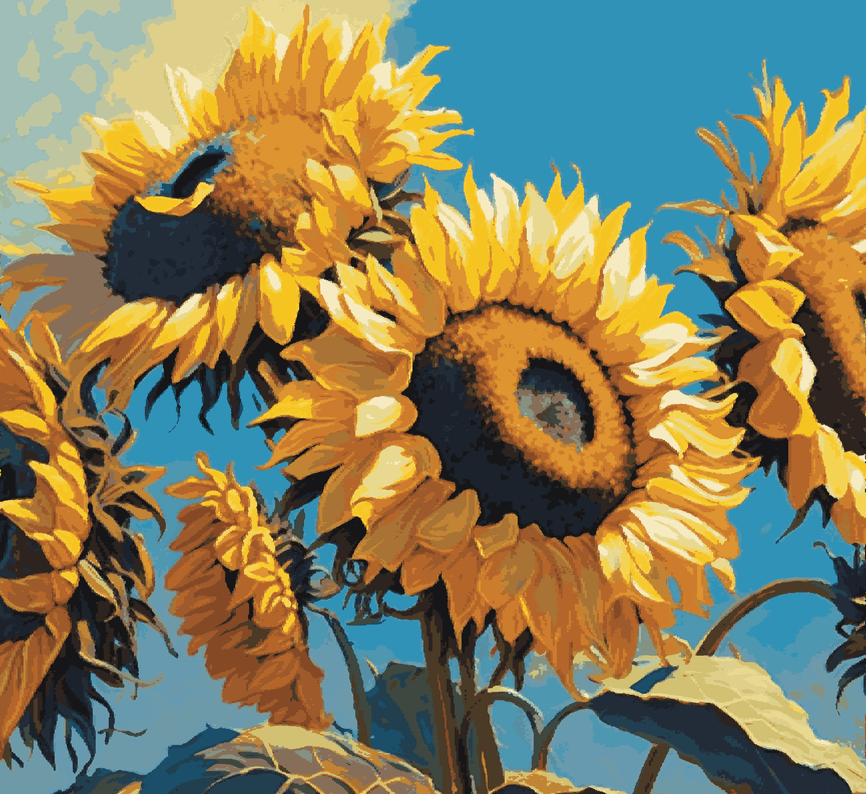 Yellow SunFlower Closer Look