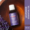 Alps Goodness Lavender Essential Oil - 30 ml