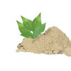 Hebsur Herbals Baelpatra Powder - 100 gms (Pack of 2)