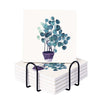 UMAI Diatomite Coasters Set of 6 10cm Dining Table White Glass Cover Lid