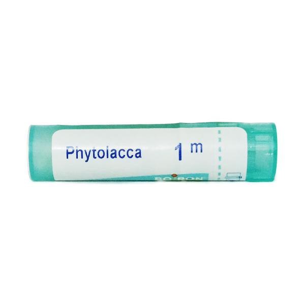 Boiron Phytolacca Pellets 1M - 80 pellets