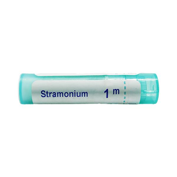 Boiron Stramonium Pellets - 80 Pellets