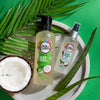 Buds&Berries Coconut Combo for Regular Use- Coconut Water & Aloevera Micellar formula Shampoo for Gentle cleansing(300ml) with Cold Pressed Coconut Oil for deeply nourishing hair and skin(100ml)