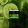 82°E Cucumber Quench - 50 ml
