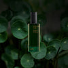 82°E Gotu Kola Dew - 100 ml