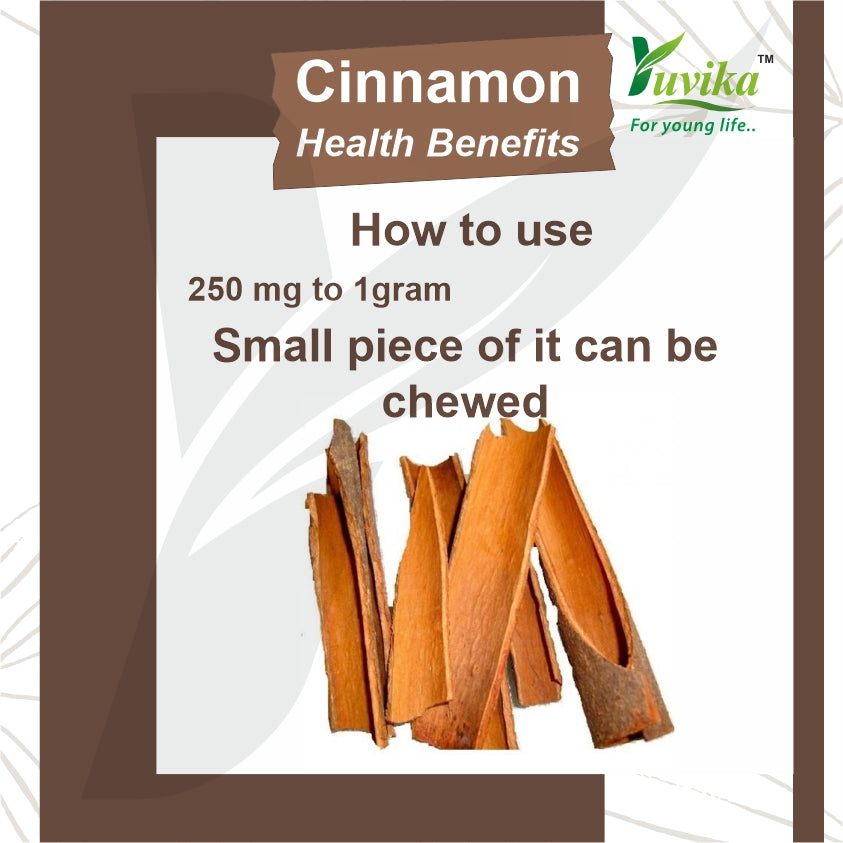 Yuvika Dalchini Gol Powder - Cinnamomum Zeylanicum - Cinnamon Powder