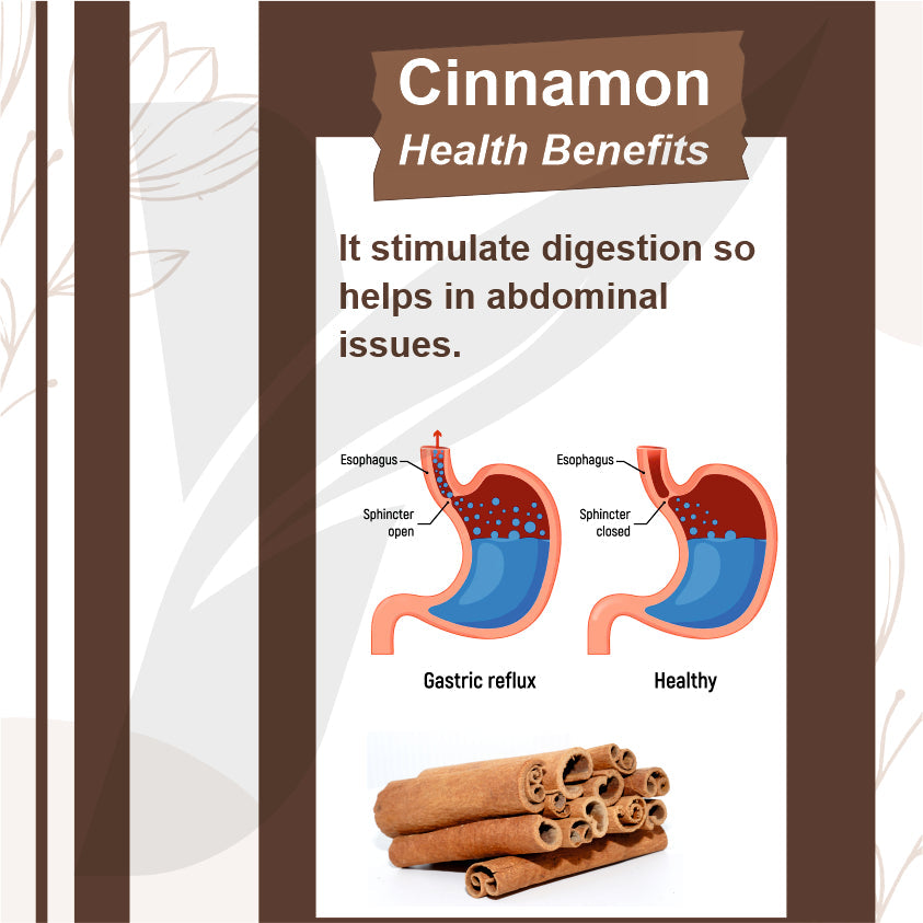 Yuvika Dalchini Gol Powder - Cinnamomum Zeylanicum - Cinnamon Powder