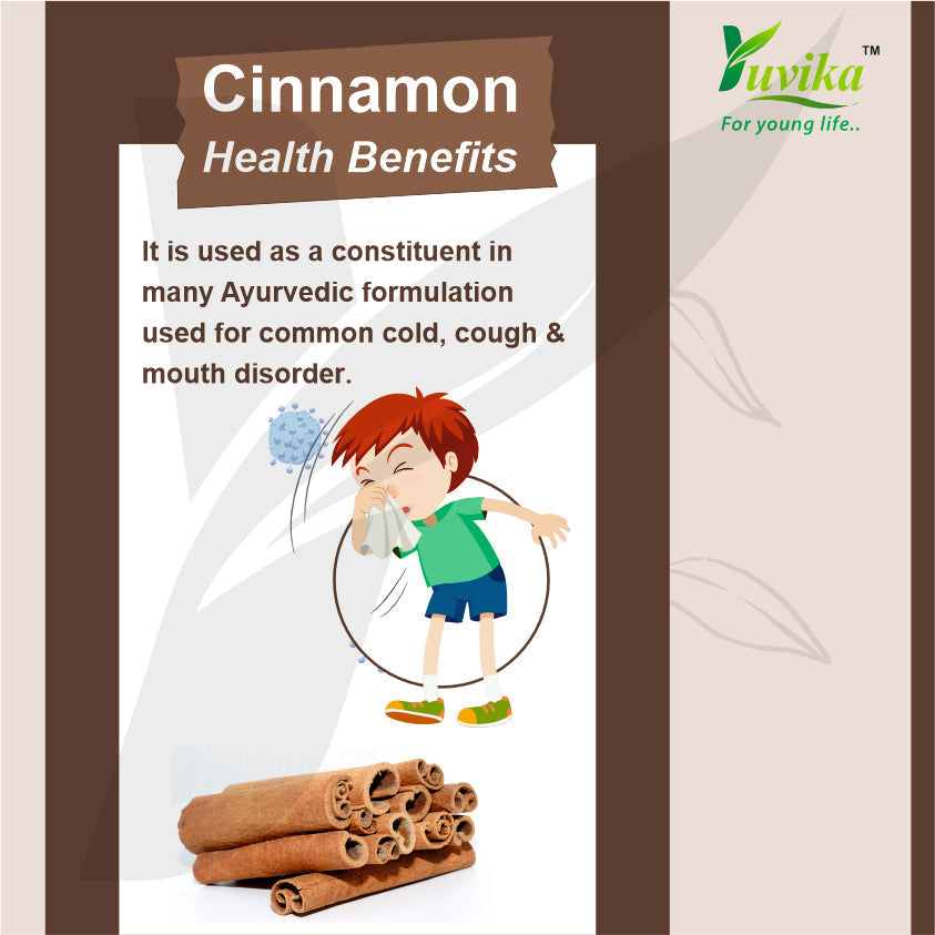 Yuvika Dalchini Gol Powder - Cinnamomum Zeylanicum - Cinnamon Powder