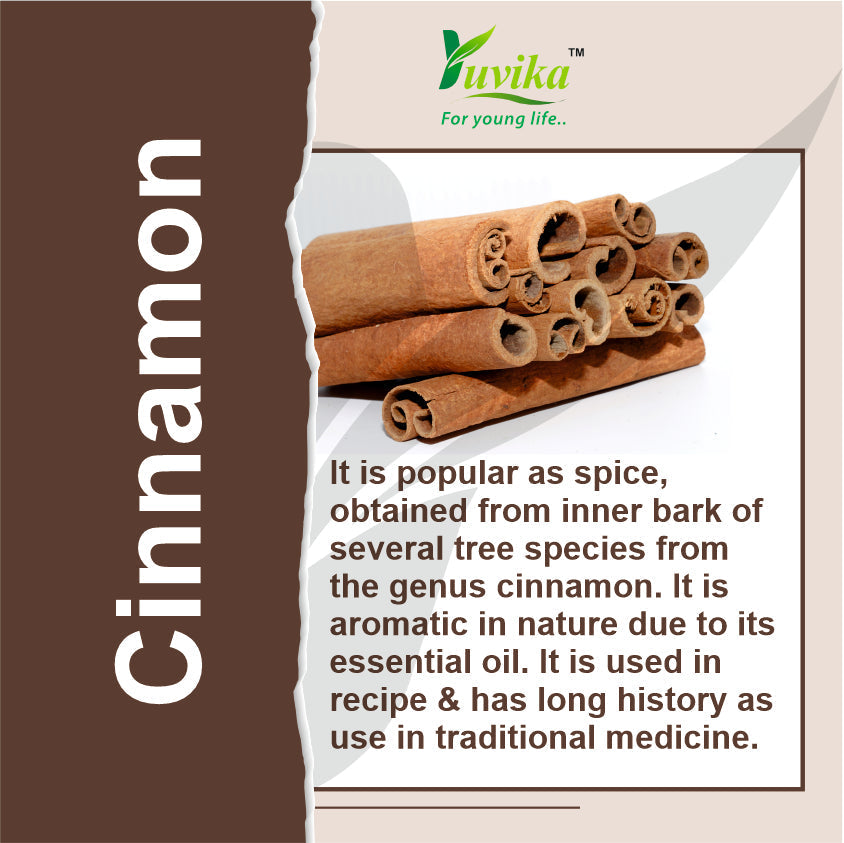 Yuvika Dalchini Gol Powder - Cinnamomum Zeylanicum - Cinnamon Powder