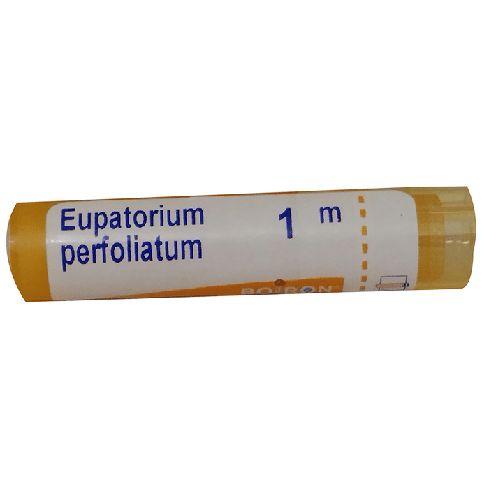 Boiron Eupatorium Perfoliatum Pellets - 80 Pellets