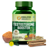 Himalayan Organics Plant Based Testosterone Booster - 90 tabs