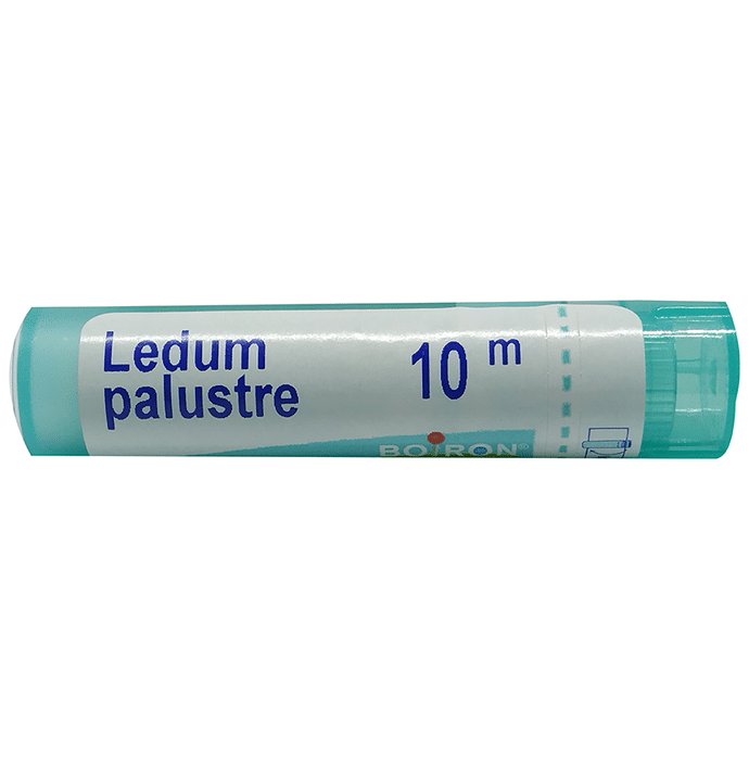 Boiron Ledum Palustre Pellets  - 80 Pellets