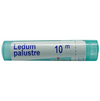 Boiron Ledum Palustre Pellets  - 80 Pellets