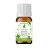 Havintha Peppermint Essential Oil Pure Aroma for Skin, Hair - 15 ml