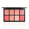 PAC Spotlight Blusher Palette Natural Brightening Long Lasting Matte HD Finish Blush for Face Makeup - 298 Gms
