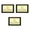 Khadi Natural Herbal Basil Scrub Soap Combo Pack of 3
