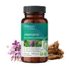 Merlion Naturals Jatamansi Extract Tablets 500mg -120 tabs