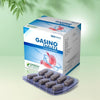 Green Remedies Gasino Tablet - 10 Tablets Each Strip (Pack of 10)